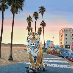 California Cruising by Steve Tandy - Box Canvas sized 22x22 inches. Available from Whitewall Galleries