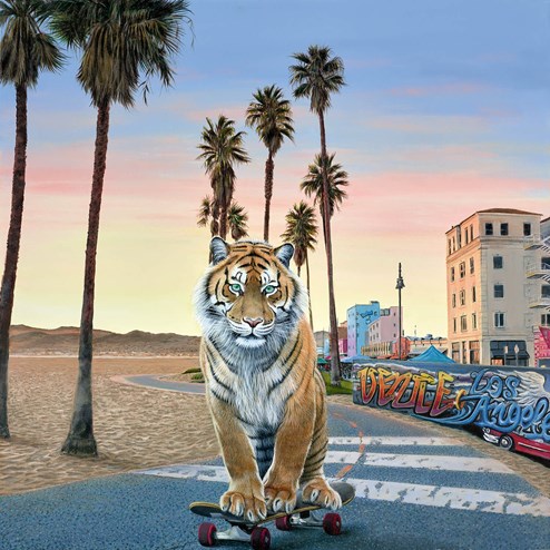 California Cruising by Steve Tandy - Box Canvas