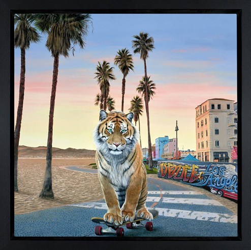 California Cruising by Steve Tandy - Framed Box Canvas